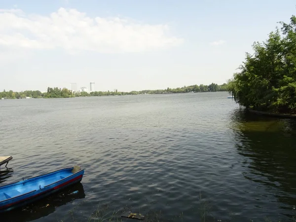 Wioślarstwo Łodzi Jeziorze Cismigiu Park Bucharest Rumunia — Zdjęcie stockowe