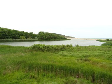 Gündüz Yeşil Çimenler arasında Nehir 