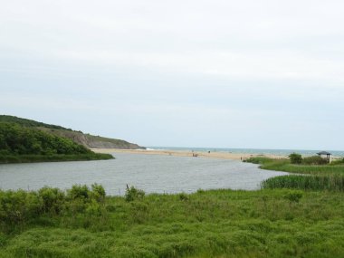 Gündüz Yeşil Çimenler arasında Nehir 