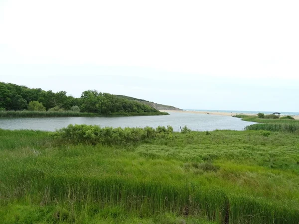 Rivier Onder Groen Gras Dag Tijd — Stockfoto