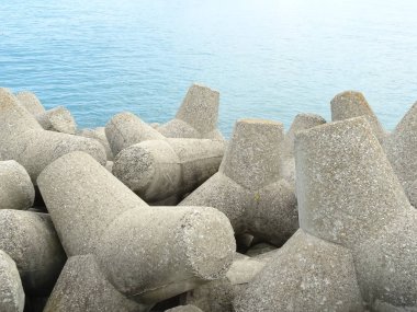 Tetrapodların denizle görünümü