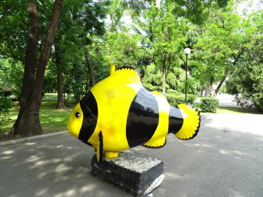 sarı balık görünümü 