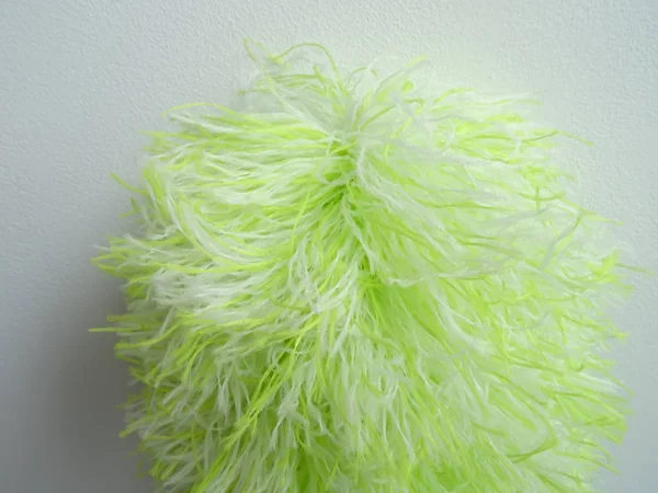 Grüner Flauschiger Spinnwebstaub — Stockfoto