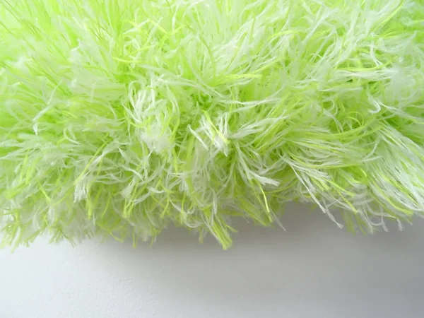 Зелений Пухнастий Cobweb Duster — стокове фото