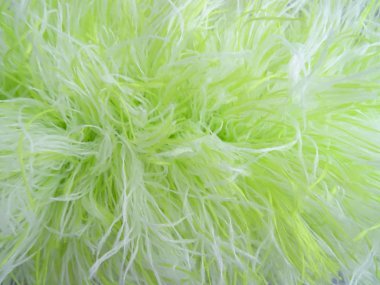 Yeşil Saç görünümü