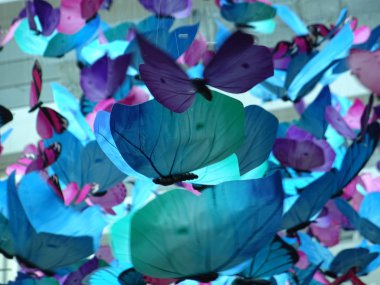 Kağıt Kelebekler görünümü