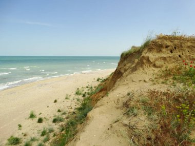 Gündüz vakti Vahşi Deniz Kıyısı 
