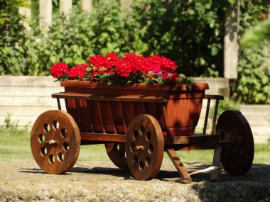 Decoratice bahçe sepeti çiçek Pot