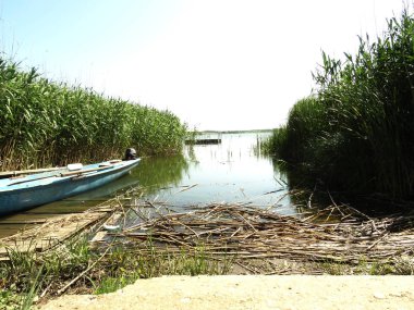 Güzel yaz sahil manzara