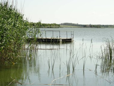 Bitki ve iskele ile Lake Coast 