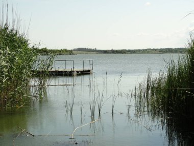 gündüz Lake Plants yakın 