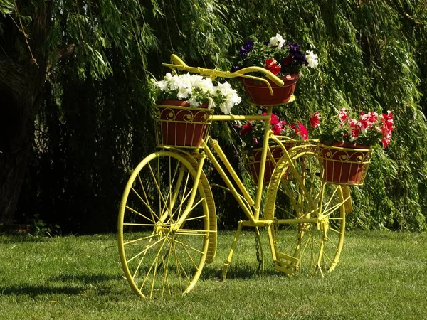 黄色复古自行车花园装饰 — 图库照片