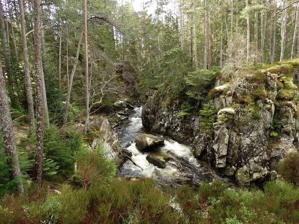 Cascada Escocesa Bosque — Foto de Stock