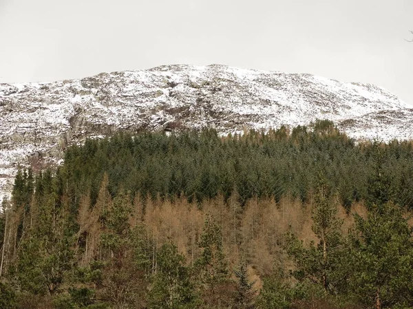 Schottisches Hochland Atemberaubende Aussicht — Stockfoto