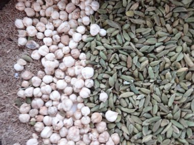 Tohumlar ve fındık kapat 