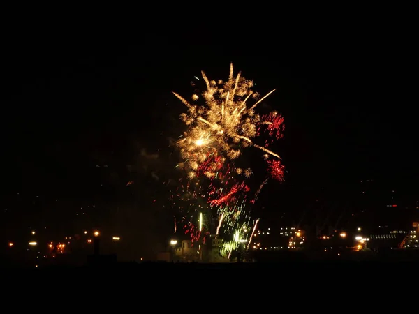 Fuegos Artificiales Coloridos Cielo Negro —  Fotos de Stock