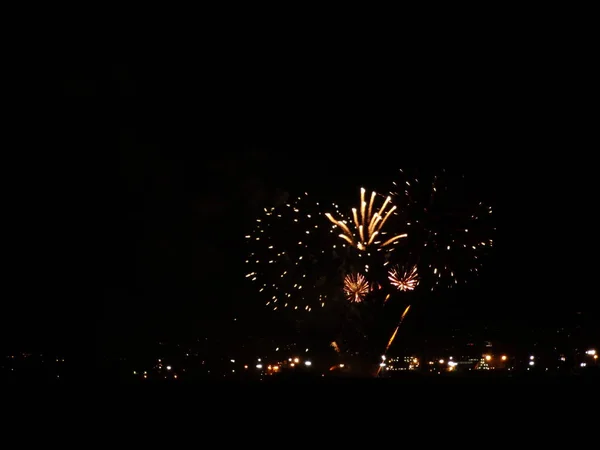 Fuegos Artificiales Coloridos Cielo Negro —  Fotos de Stock