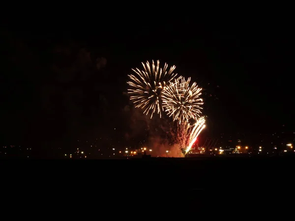 Fuegos Artificiales Coloridos Cielo Negro — Foto de Stock