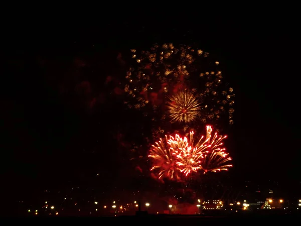 Feux Artifice Colorés Dans Ciel Noir — Photo