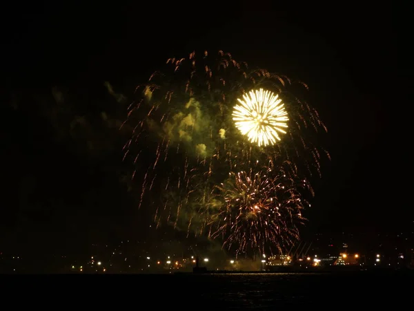 Fuegos Artificiales Coloridos Cielo Negro — Foto de Stock