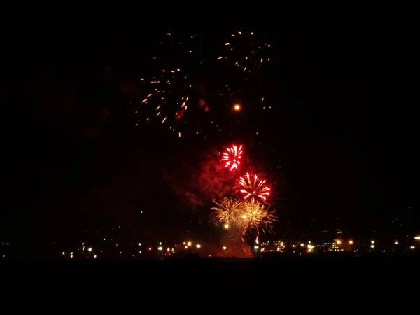 Fogo Artifício Colorido Céu Negro — Fotografia de Stock