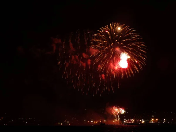 Fuegos Artificiales Coloridos Cielo Negro — Foto de Stock