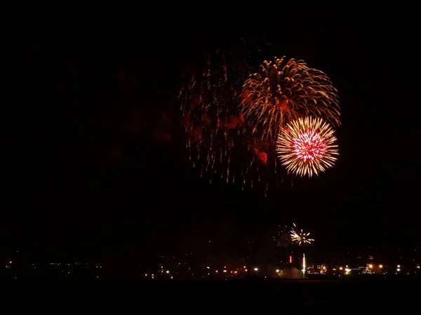 Fuegos Artificiales Coloridos Cielo Negro — Foto de Stock