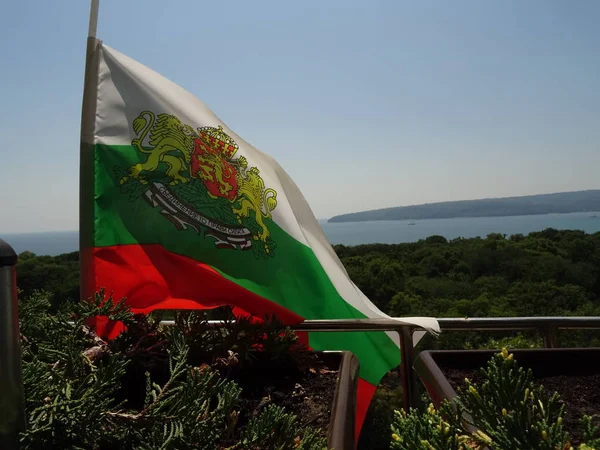 Aslan Sembolü Ile Bulgar Ulusal Ülke Bayrağı Sallayarak — Stok fotoğraf