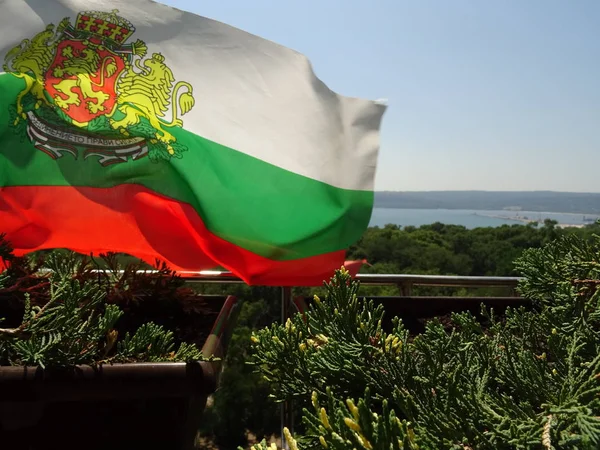 Wapperende Vlag Van Bulgaarse Nationale Land Met Lions Symbool — Stockfoto