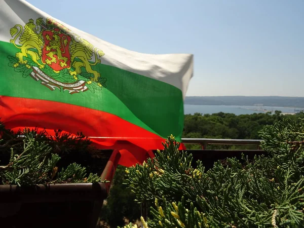 Wapperende Vlag Van Bulgaarse Nationale Land Met Lions Symbool — Stockfoto