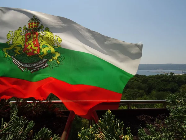 Viftar Bulgariska Nationella Land Flagga Med Lejon Symbol — Stockfoto