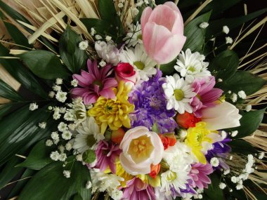 Bahar renkli çiçekleri karışımı