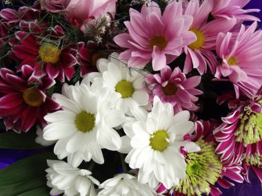 Pembe ve beyaz çiçekler buketi içinde