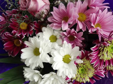 Pembe ve beyaz çiçekler buketi içinde