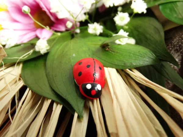 Lady Bird Buquê Decoração — Fotografia de Stock