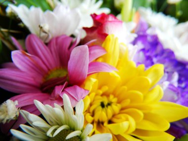 Bahar taze renkli çiçek buketi