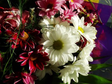 Beyaz ve Claret buket çiçek