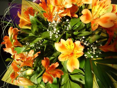 Portakal çiçekleri buketi