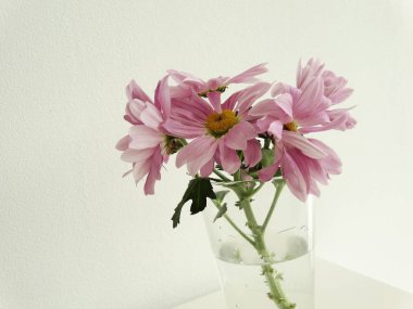 Su ve Waterscapes cam pembe çiçek şube