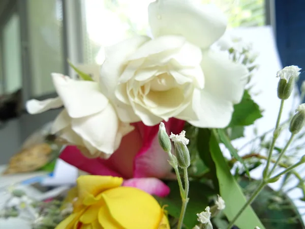 Buquê Rosas Coloridas — Fotografia de Stock