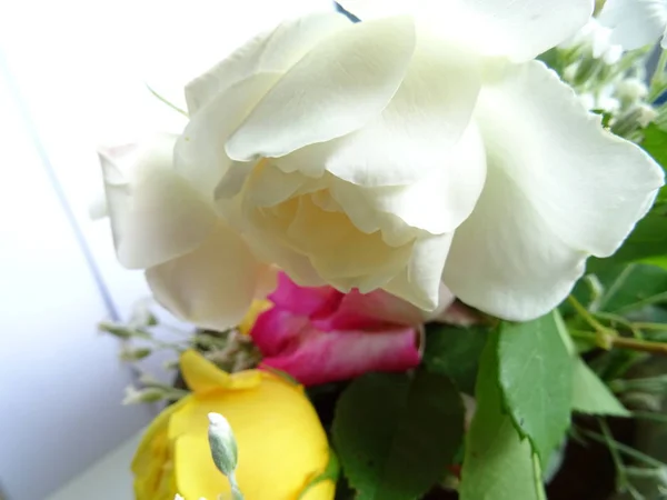 Rose Blanche Dans Bouquet — Photo