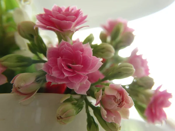 Маленькая Внутренняя Ваза Розовыми Цветами — стоковое фото