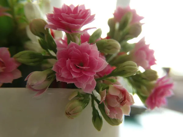 Petit Vase Intérieur Avec Fleurs Roses — Photo