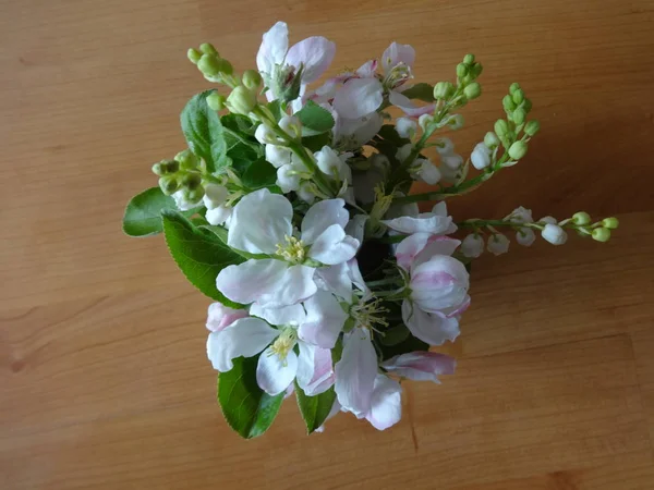 Witte Bloemen Een Vaas Weergave Van Bovenaf — Stockfoto