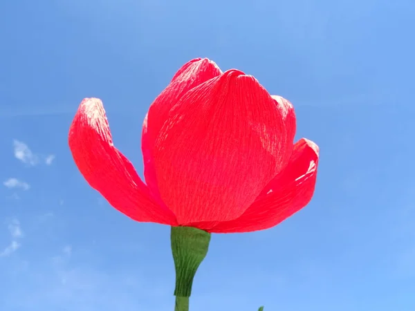 Flor Papel Vermelho Bonita Fundo Céu Azul — Fotografia de Stock