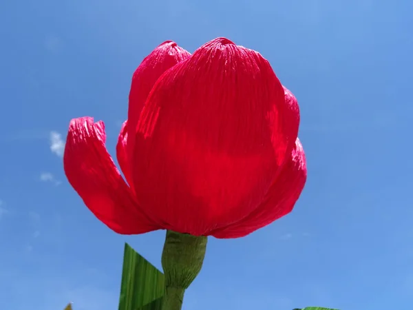 Красный Бумажный Цветок Фоне Голубого Неба — стоковое фото