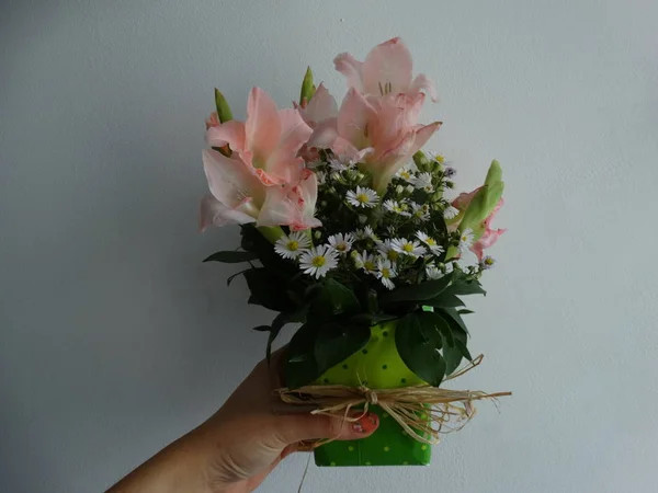 Kvinde Hånd Holding Lyserøde Blomster Grøn Gave Vase - Stock-foto