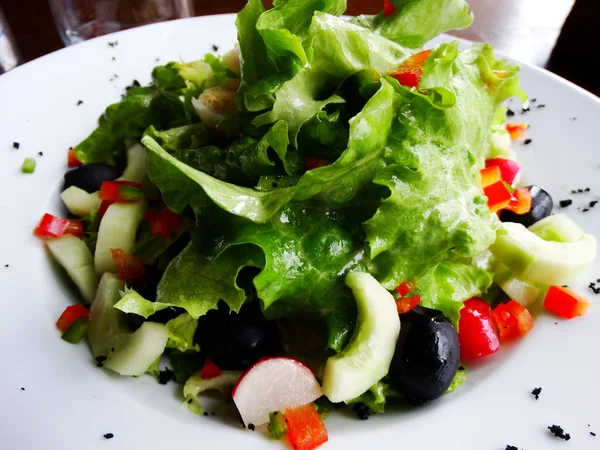 Salada Verde Mista Placa Branca — Fotografia de Stock