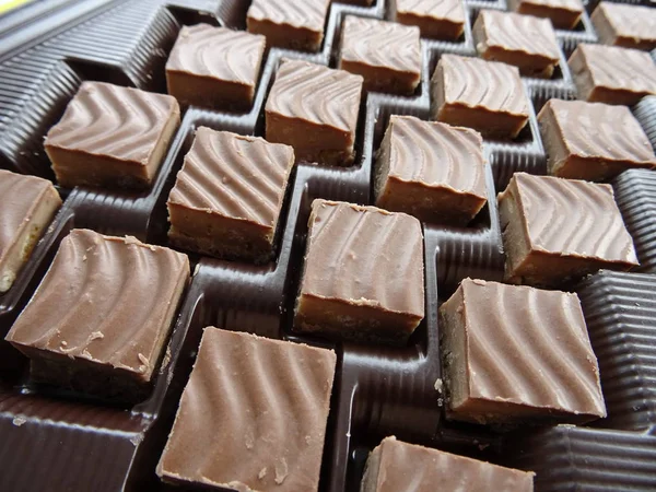 초콜릿 상자에 사각형 초콜릿 Bonbons — 스톡 사진