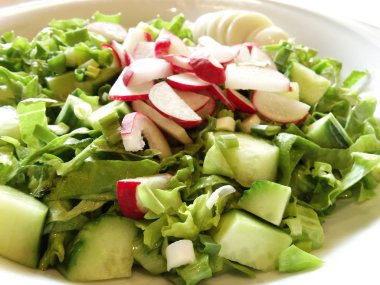 Taze bahar salatası yeşil sarımsak, turp ve salatalık 